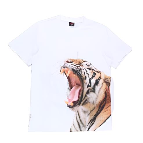 Cutty - C Caspian Boys T Shirt White